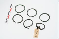 Foto von Bronzering (NHMW-PRAE-024644)
